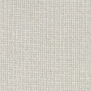 4877 Grey Mesh